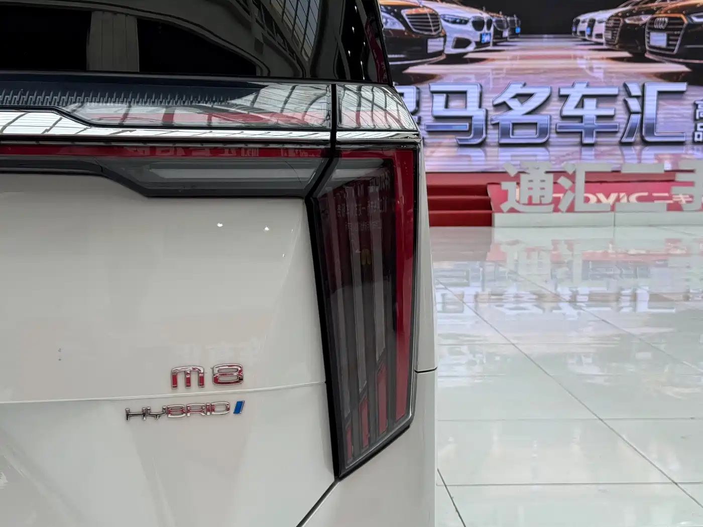 GAC Trumpchi Trumpchi M8 2023 Model Master Series Hybrid Royal Edition фото 10