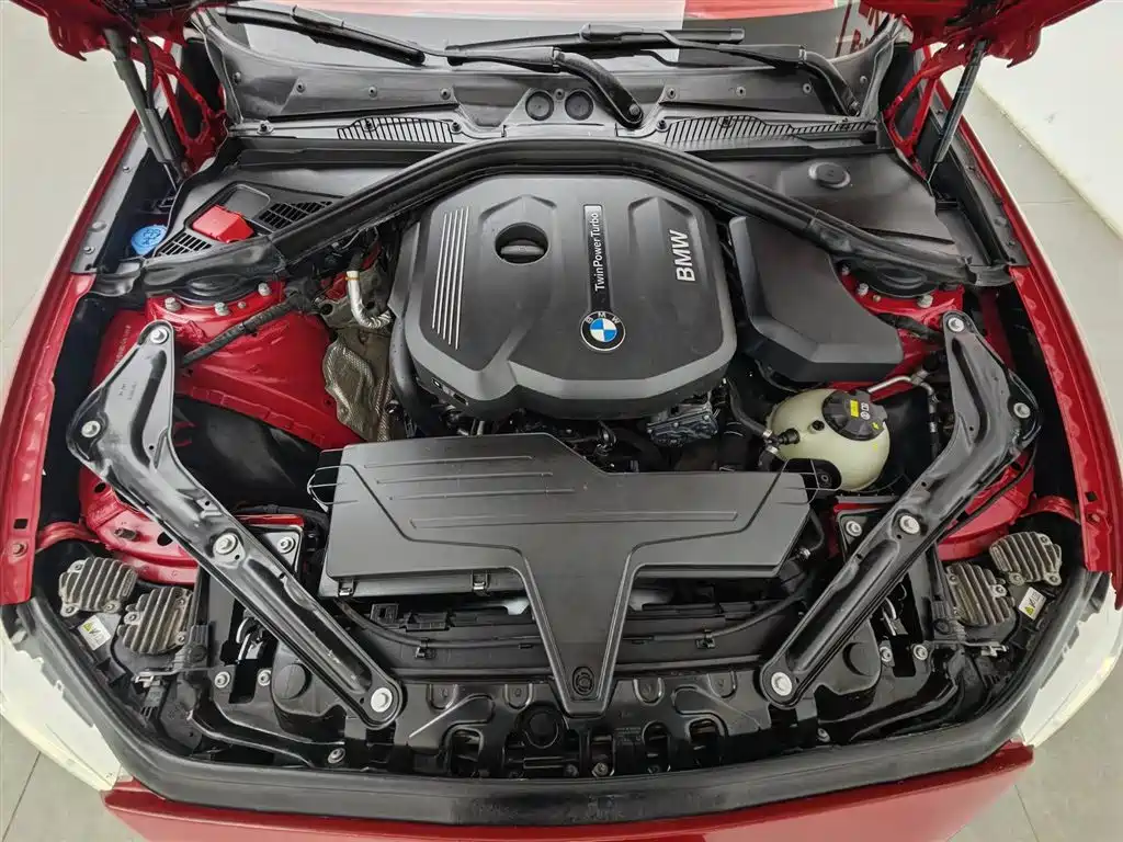 BMW 2 Series (Import) 2015 218i Convertible Coupe фото 6