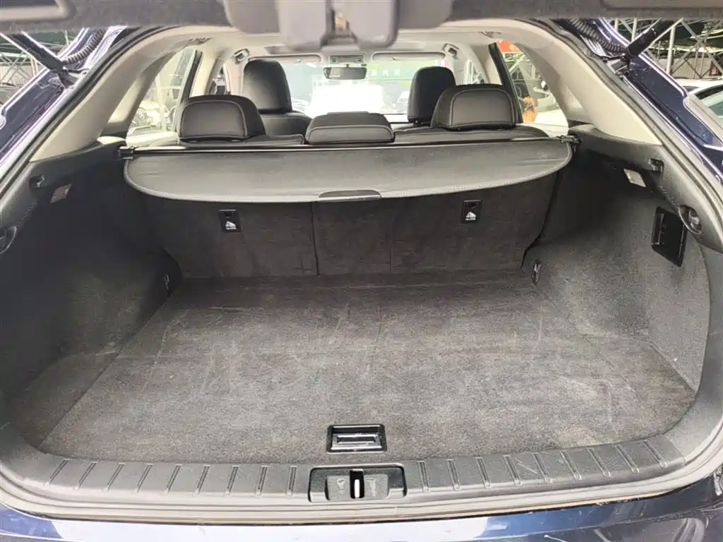 Lexus RX 2016 300 2WD Elite Edition (China V) фото 18