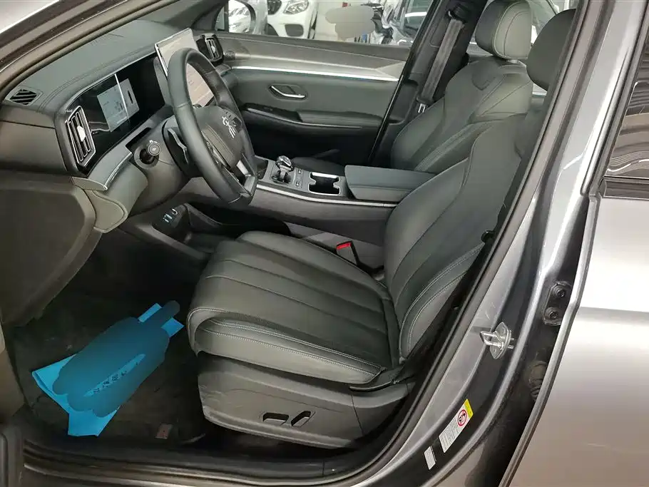 BYD Song Pro New Energy 2025 2nd Gen DM-i 115KM Excellence фото 9