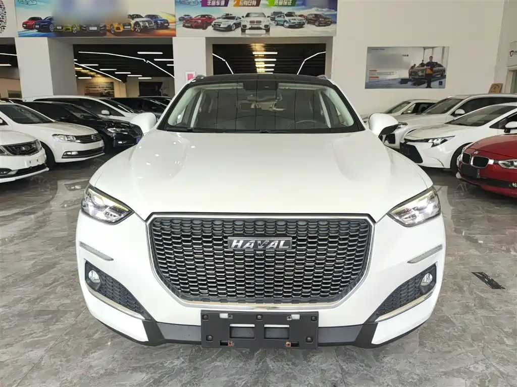 Haval F5 2019 National Trend Edition 1.5T iTrend China VI фото 3