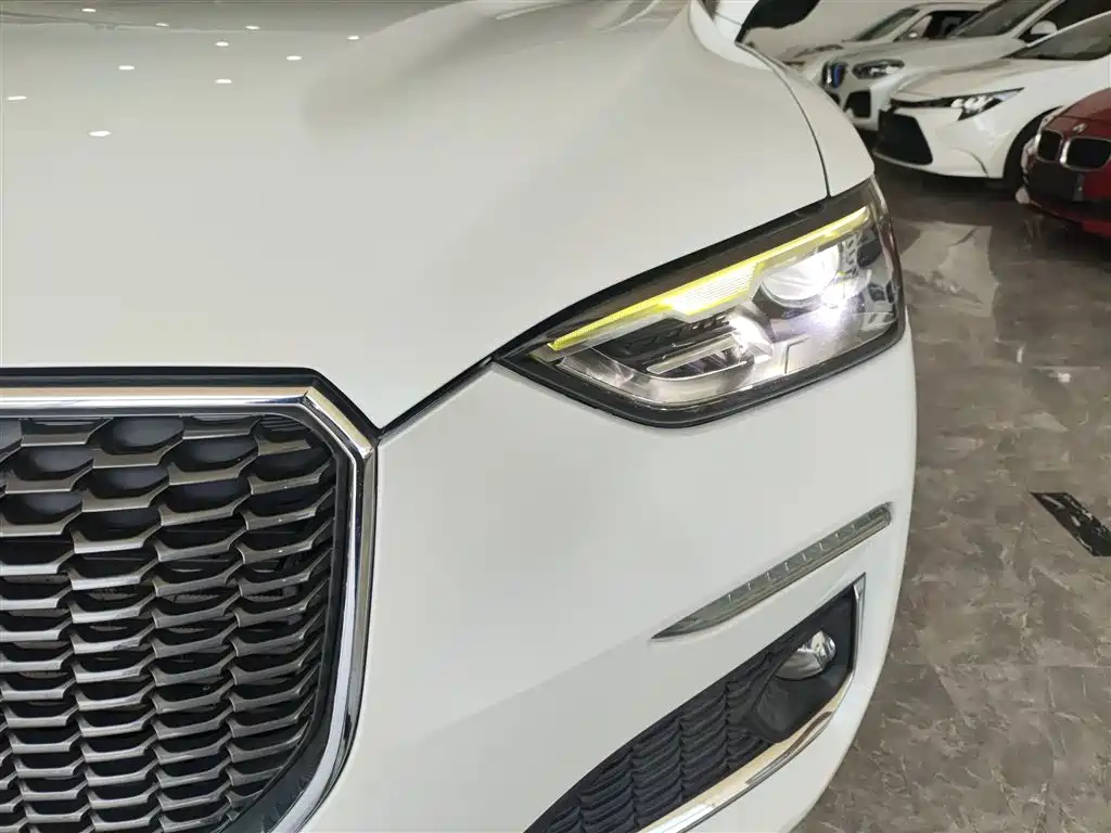 Haval F5 2019 National Trend Edition 1.5T iTrend China VI фото 24