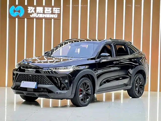  Haval Haval H6S 2022 Model 2.0T 2WD Smart Run Edition