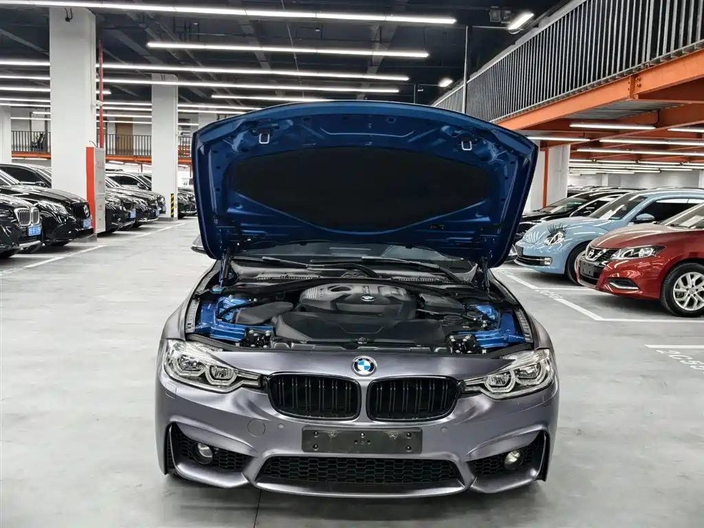 BMW 3 Series 2019 320Li M Luxury Package фото 17