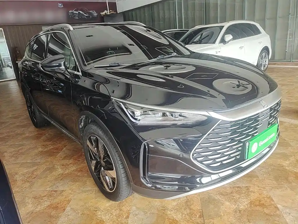 BYD Tang New Energy 2024 DM-i Honor Edition 112KM Premium фото 4