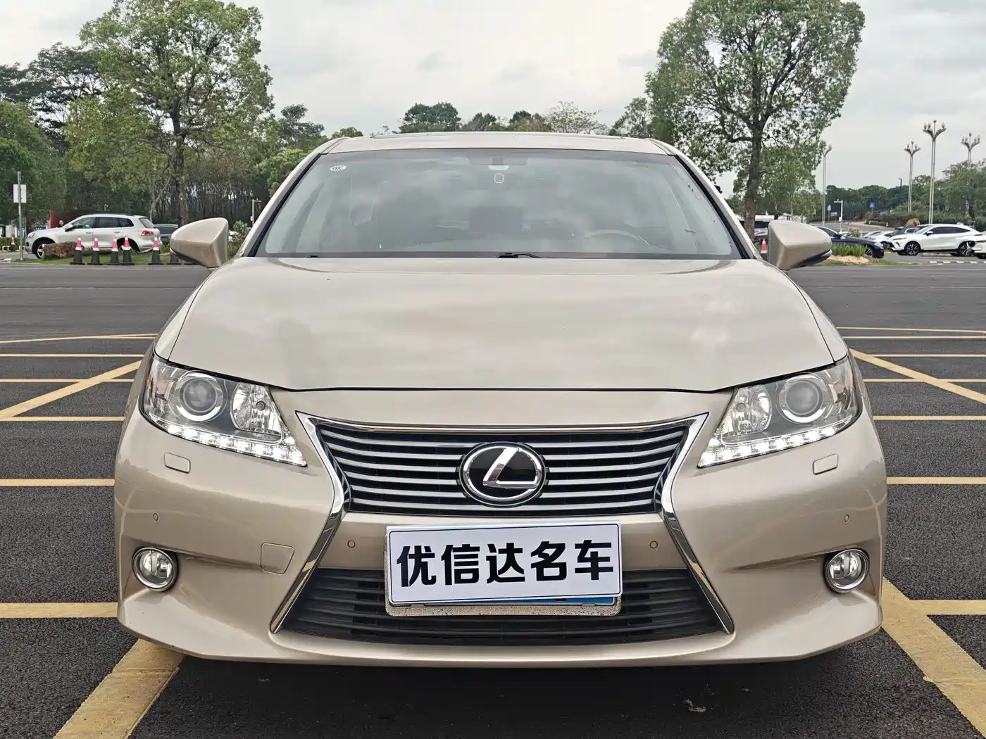 Lexus ES 2013 250 Elegance Edition фото 2