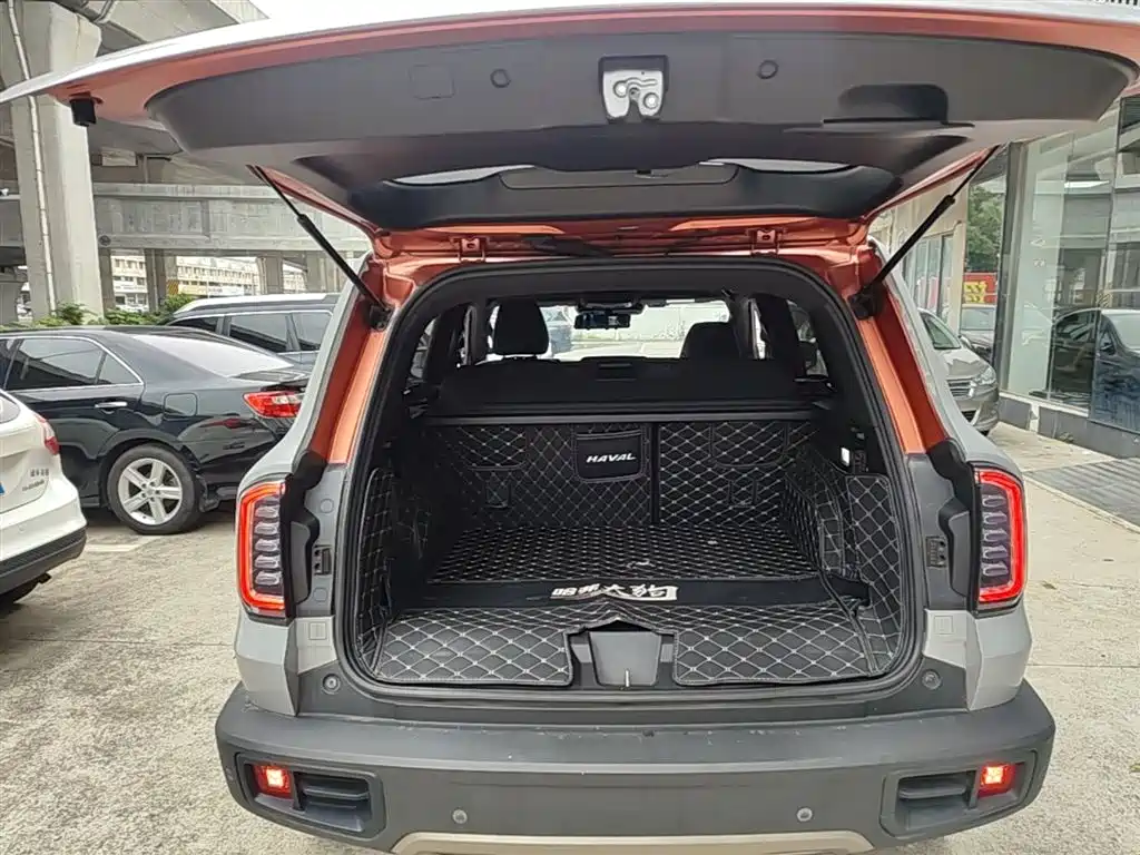 Haval Big Dog 2021 1.5T DCT 2WD Border Collie - Wangcai Edition фото 19