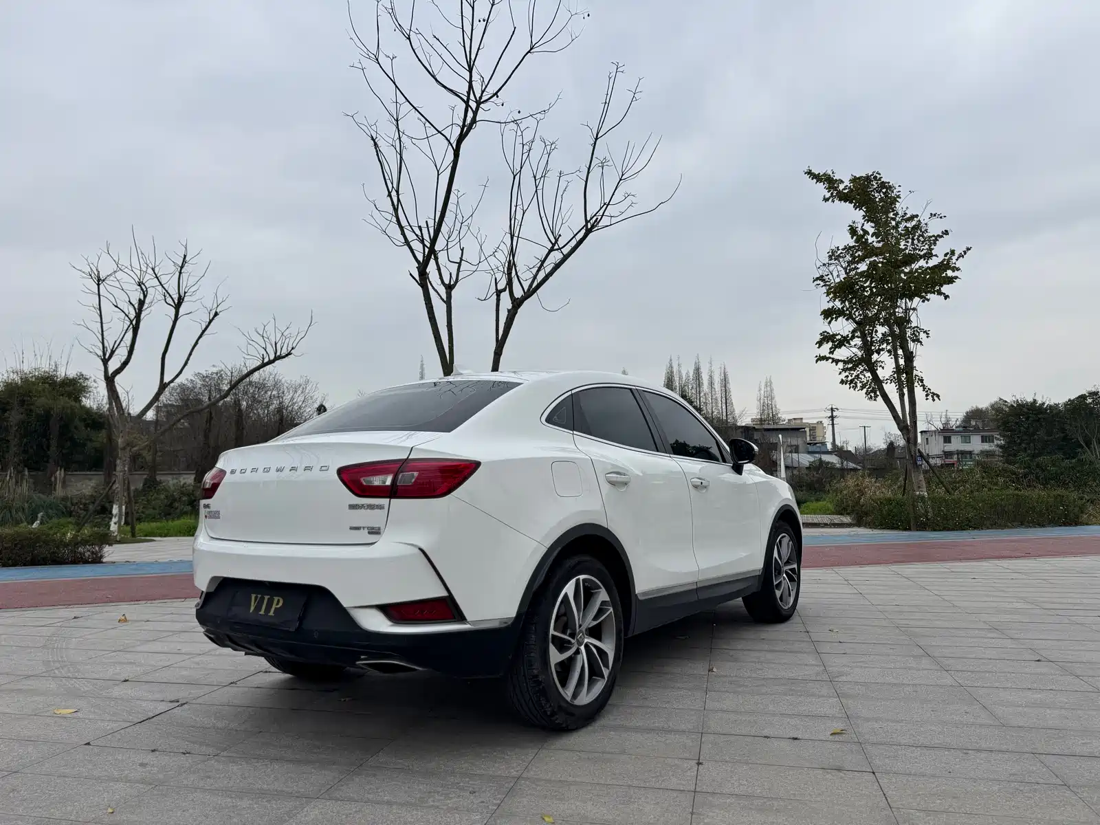 Фото 7 - Borgward BX6