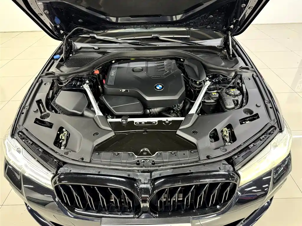 BMW 5 Series 2021 Facelift 530Li Premium M Sport Package фото 21