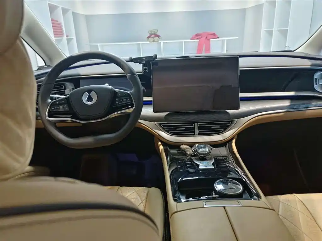 Denza D9 2025 2024 DM-i 980 AWD Premium