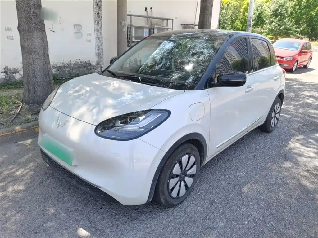 Wuling Motors Wuling Bingo 2024 333km Comfort Edition