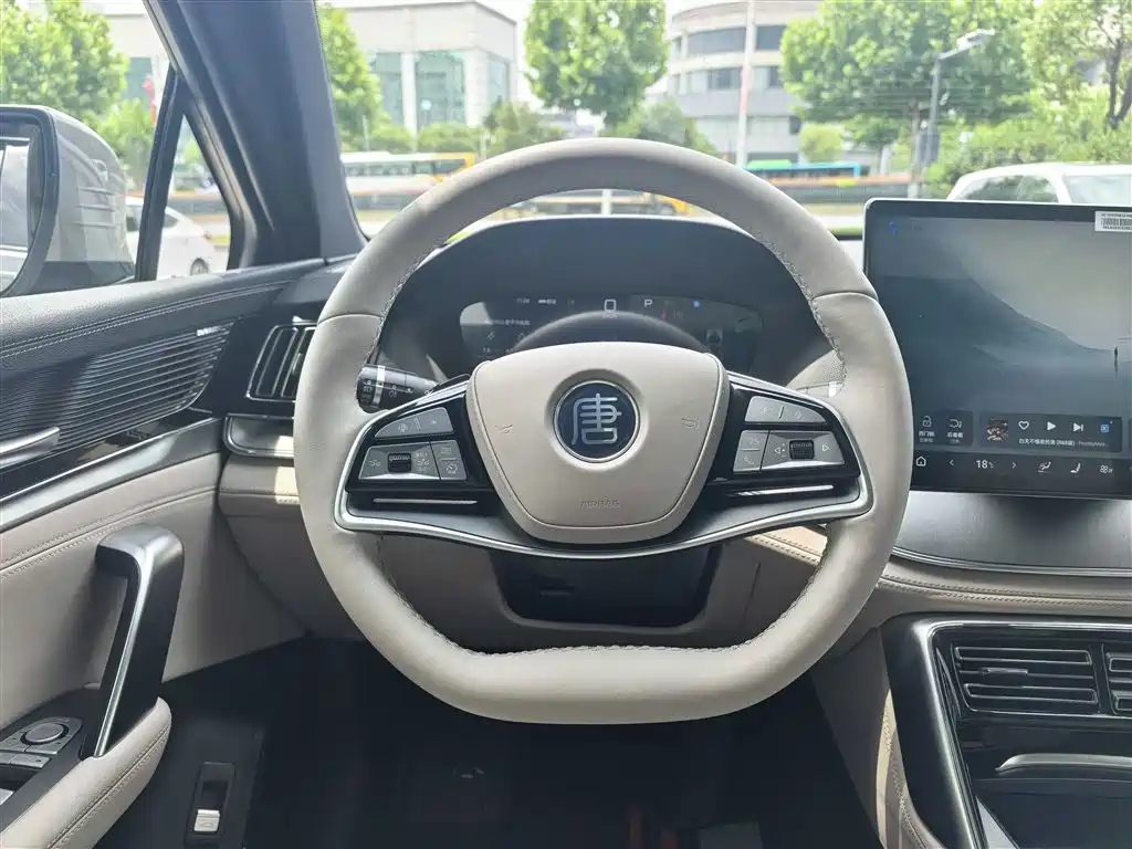 BYD Tang New Energy 2025 DM-i 115KM Flagship фото 12