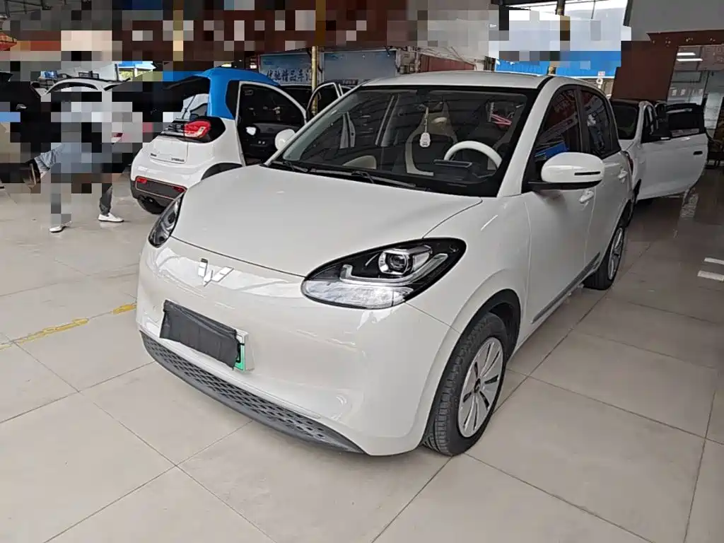 Wuling Motors Wuling Bingo 2023 Model 203km Lite Enjoyment Edition