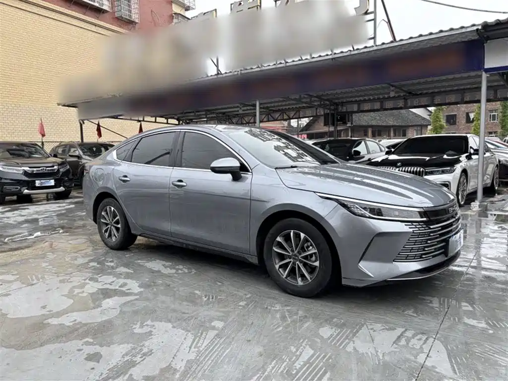 BYD Destroyer 05 2024 Glory Edition DM-i 55KM Luxury фото 6