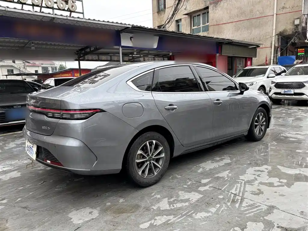 BYD Destroyer 05 2024 Glory Edition DM-i 55KM Luxury фото 9