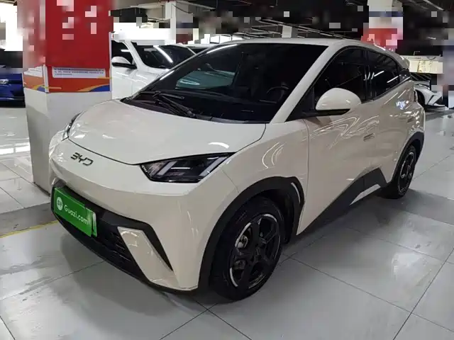 BYD Seagull 2024 Glory Edition 405km Soaring Edition