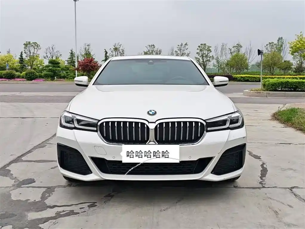 BMW 5 Series 2021 530Li Executive Luxury Package фото 2