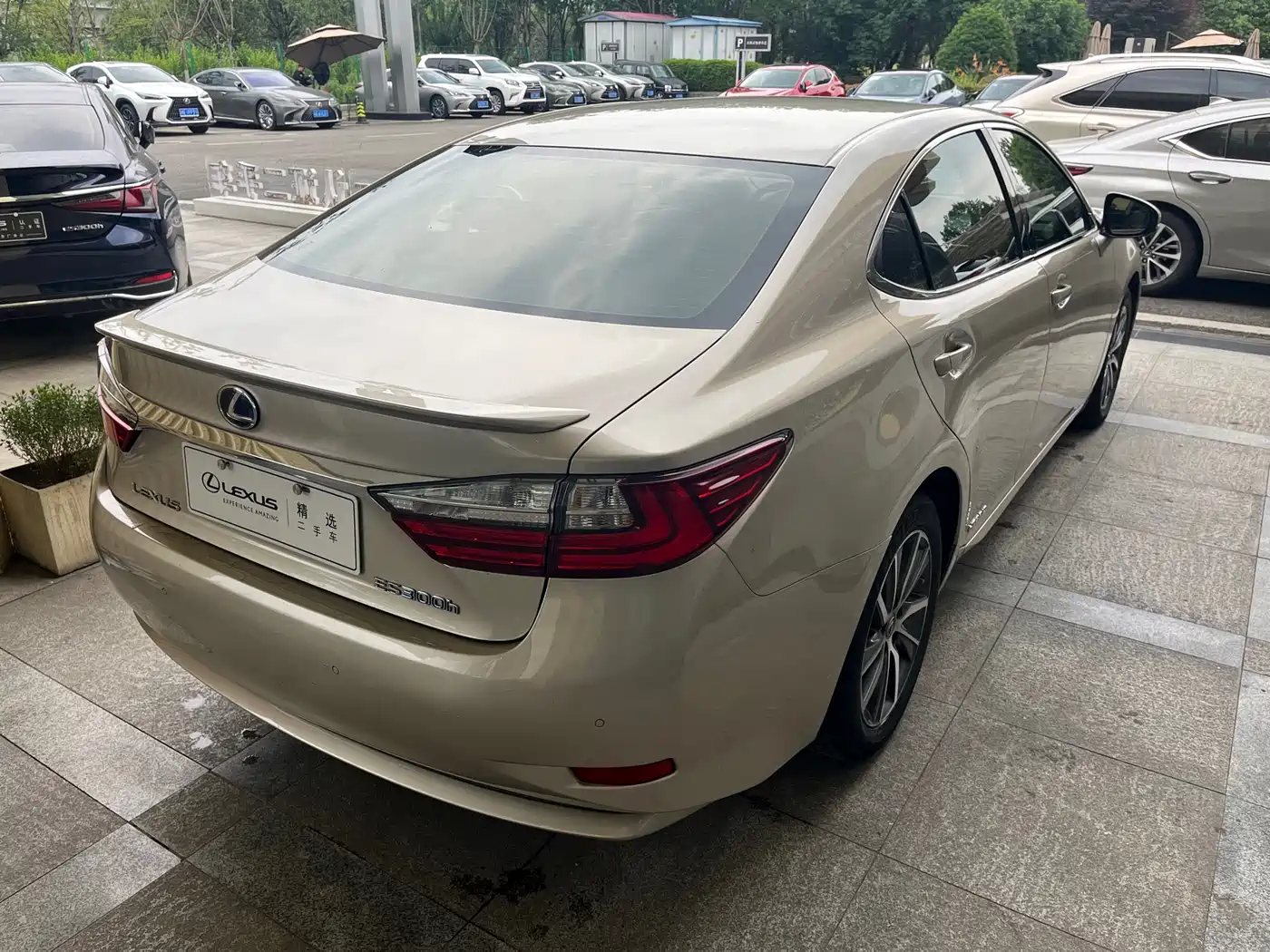 Lexus ES 2015 300h Luxury Edition фото 7