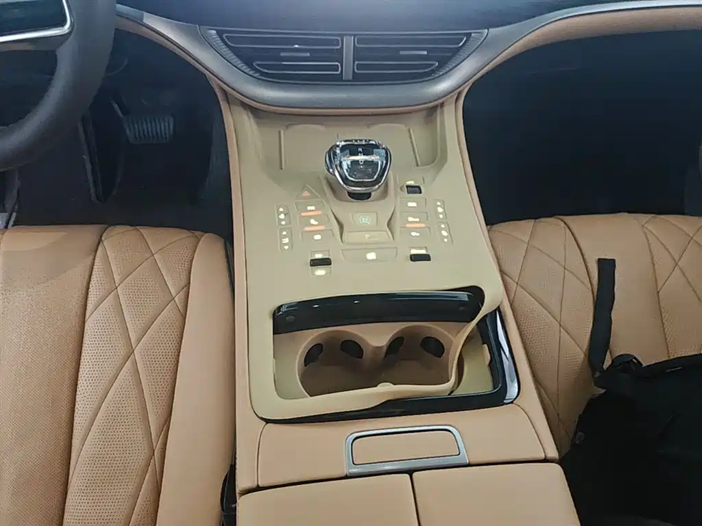 Denza D9 2024 DM-i 980 AWD Prestige фото 14