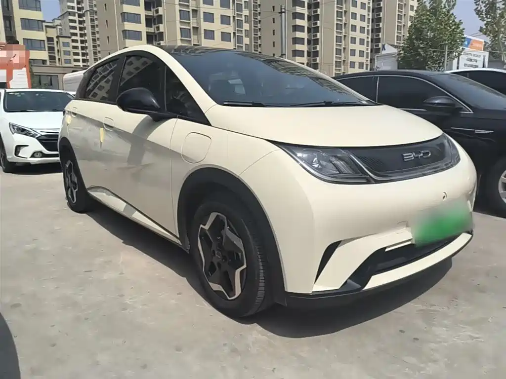 BYD Dolphin 2021 Model 405km Fashion Edition фото 4