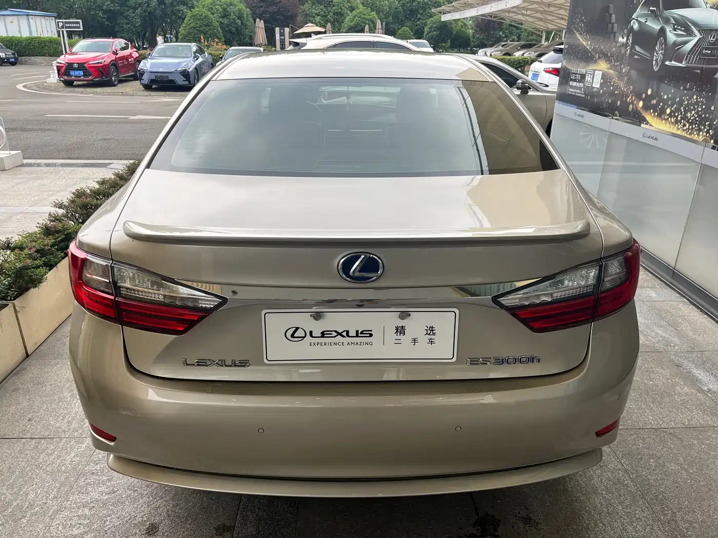Lexus ES 2015 300h Luxury Edition фото 6