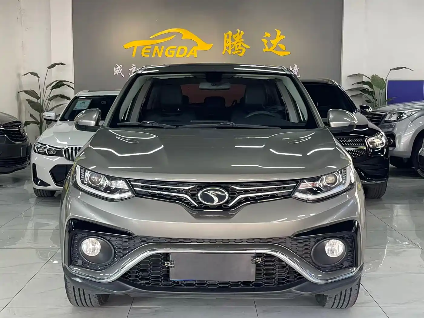 SOUEAST SOUTHEAST DX5