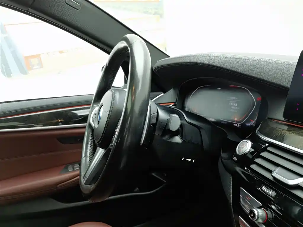 BMW 5 Series 2020 530Li Leading M Sport Package фото 22
