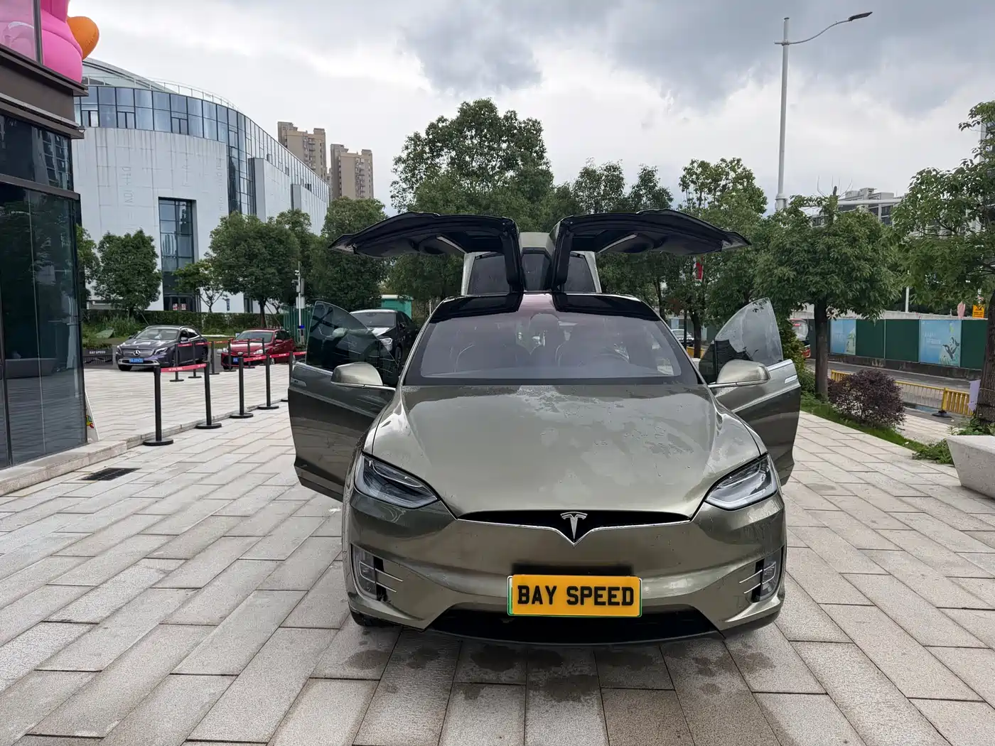 TESLA MODEL X