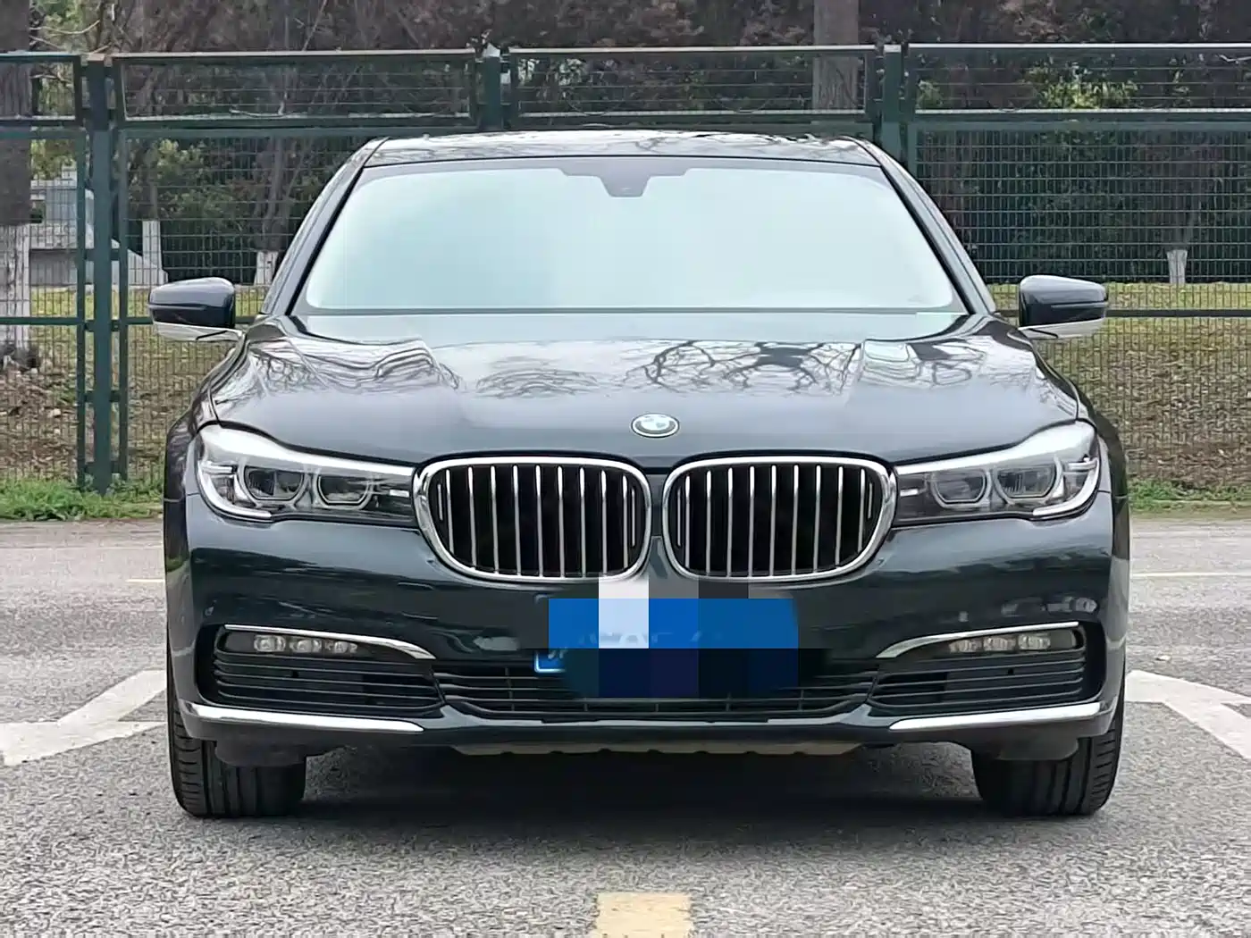 BMW 7 Series 2016 730Li Leading фото 2