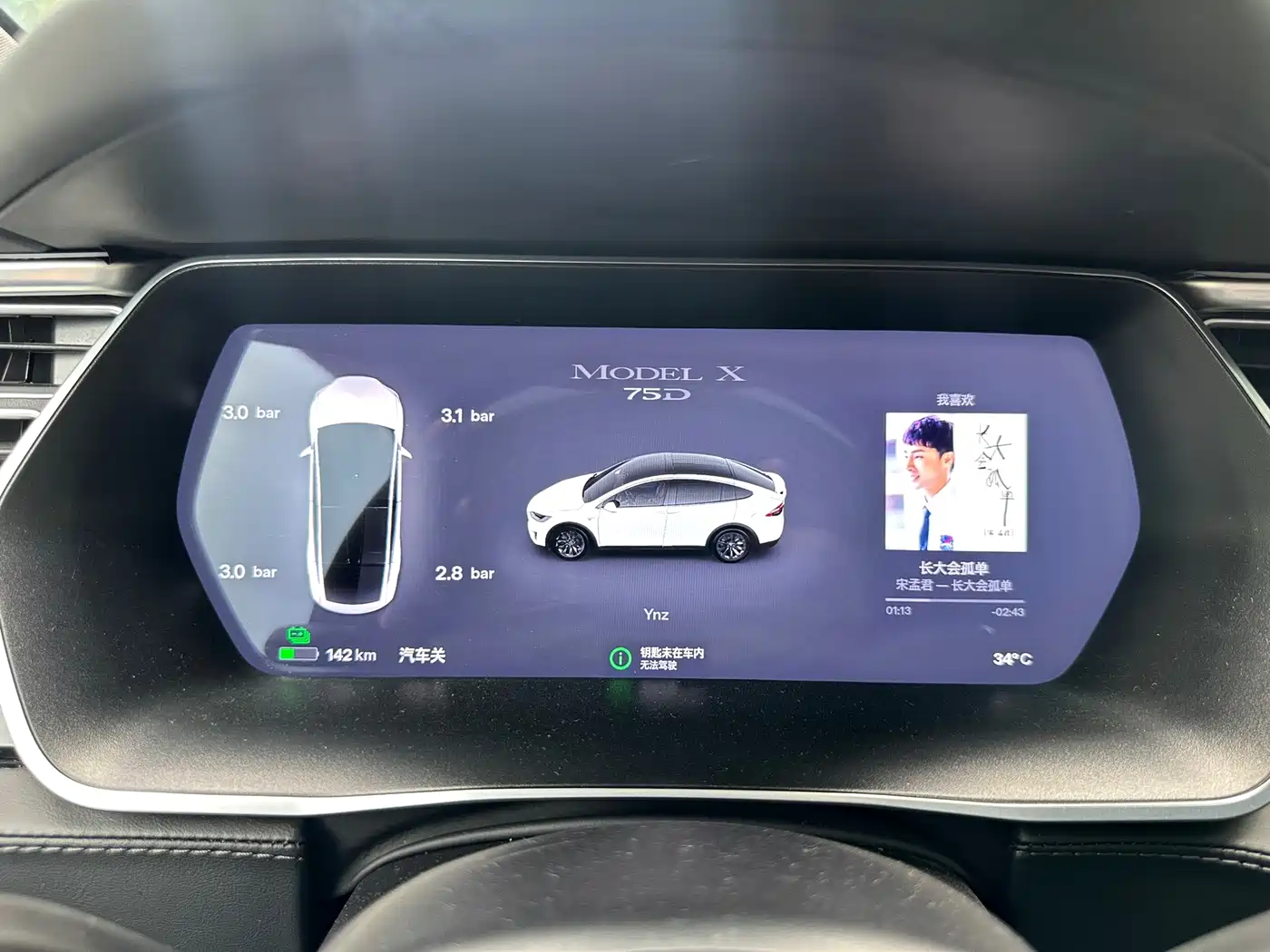 TESLA MODEL X