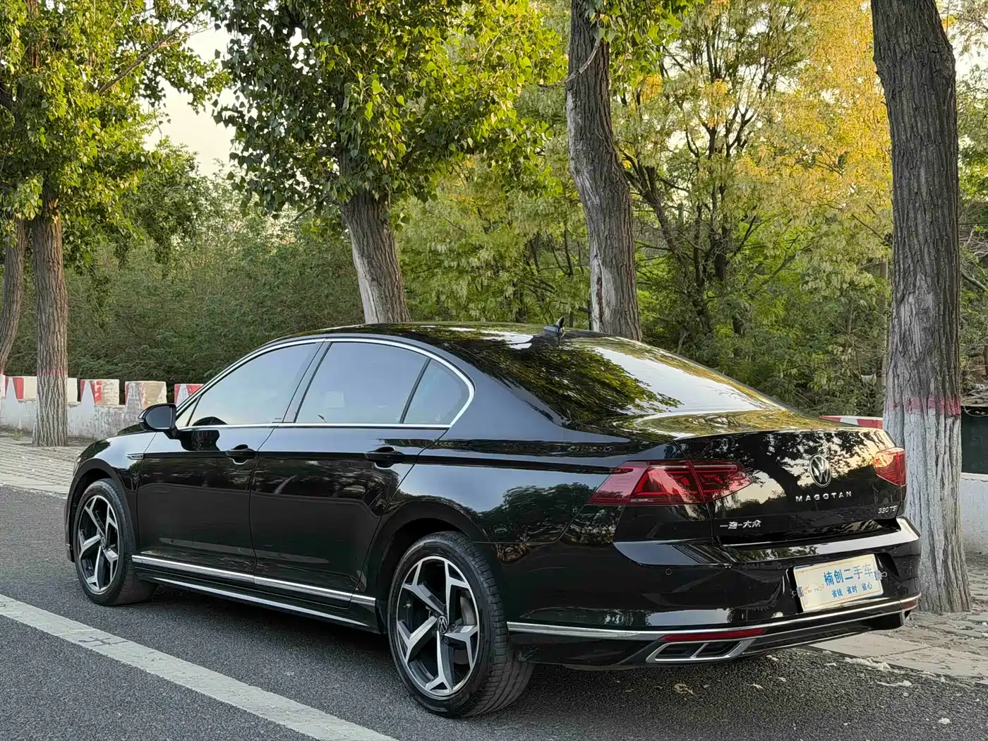 Volkswagen Magotan 2024 2 Million Units Public Sharing Edition 330TSI DSG Luxury фото 6
