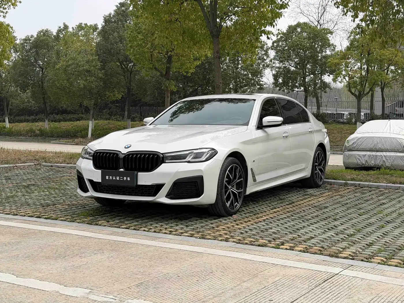 BMW 5 Series 2021 530Li Leading M Sport Package