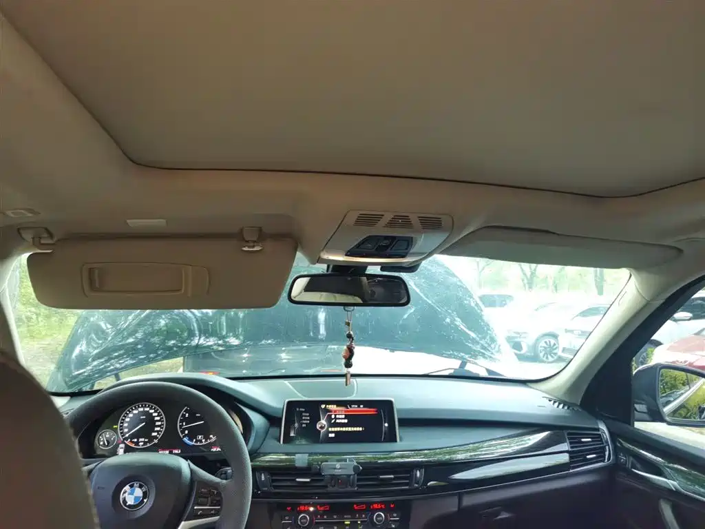 BMW X5 (Import) 2014 xDrive35i Leading фото 9