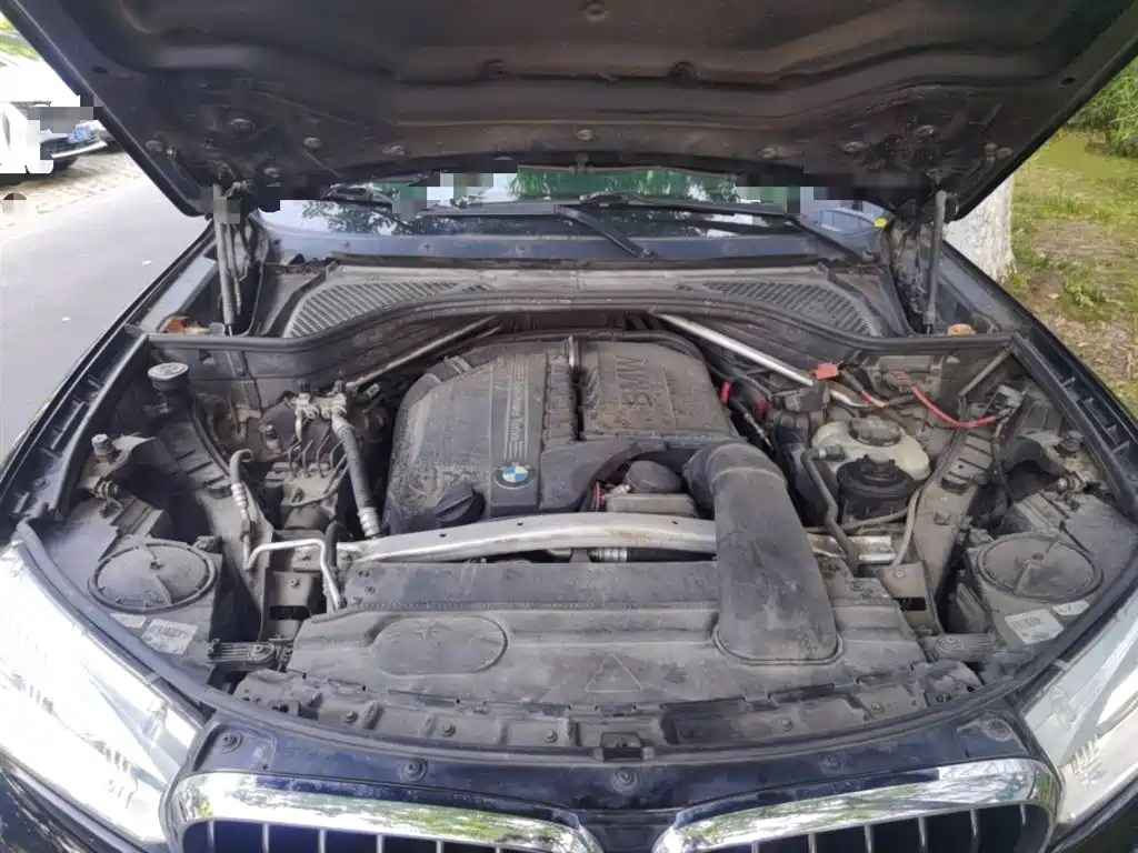 BMW X5 (Import) 2014 xDrive35i Leading фото 11