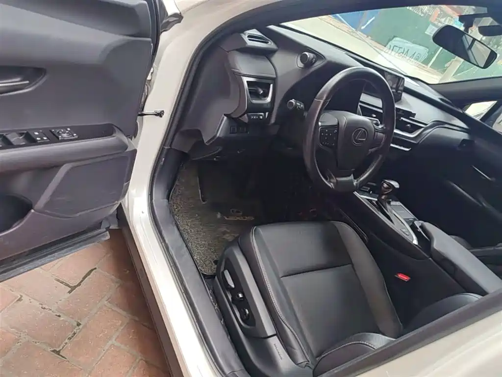 Lexus UX 2019 260h Explorer Cool Edition (China V) фото 16