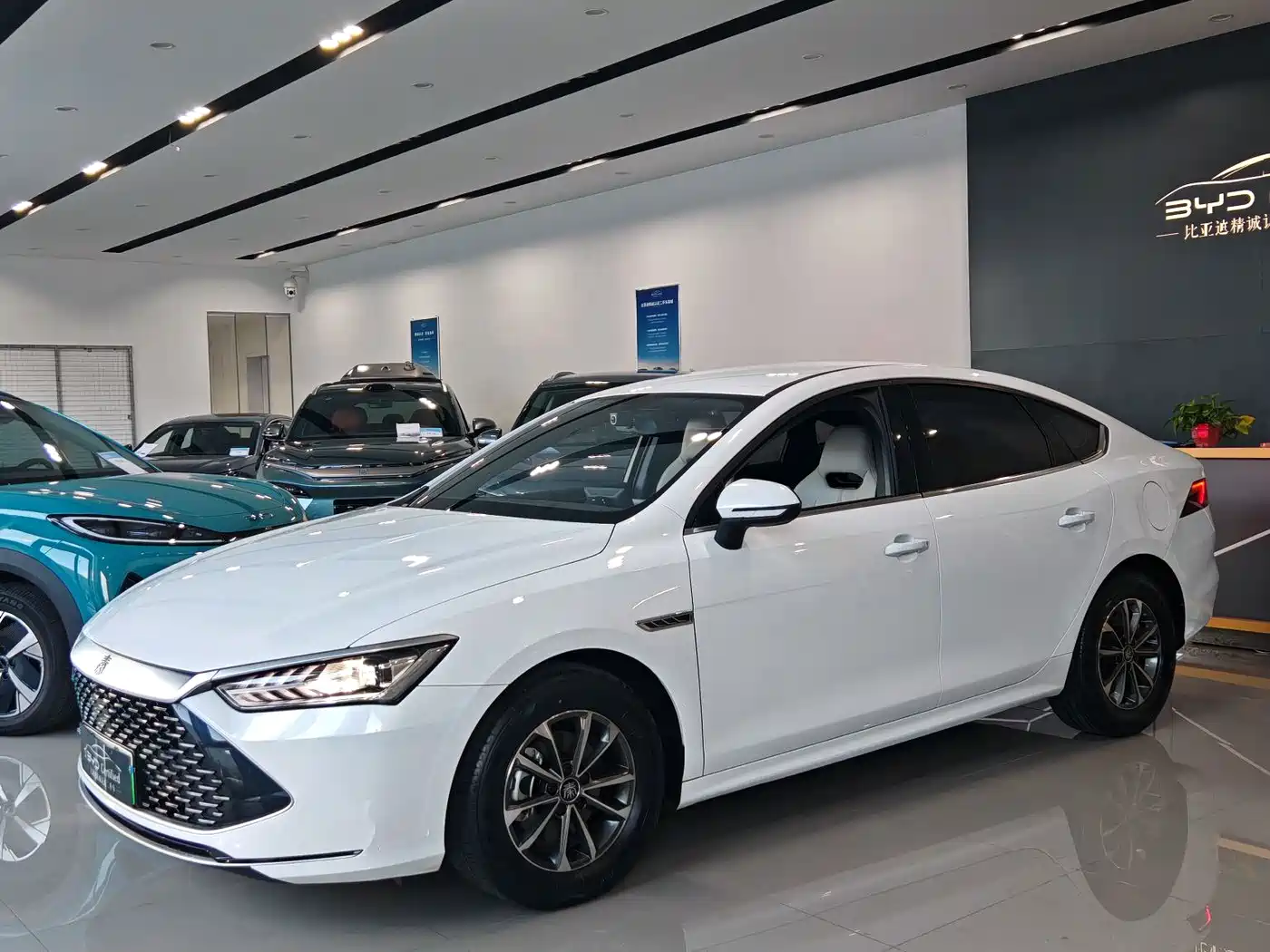 BYD Qin PLUS 2023 Champion Edition DM-i 55KM Leading