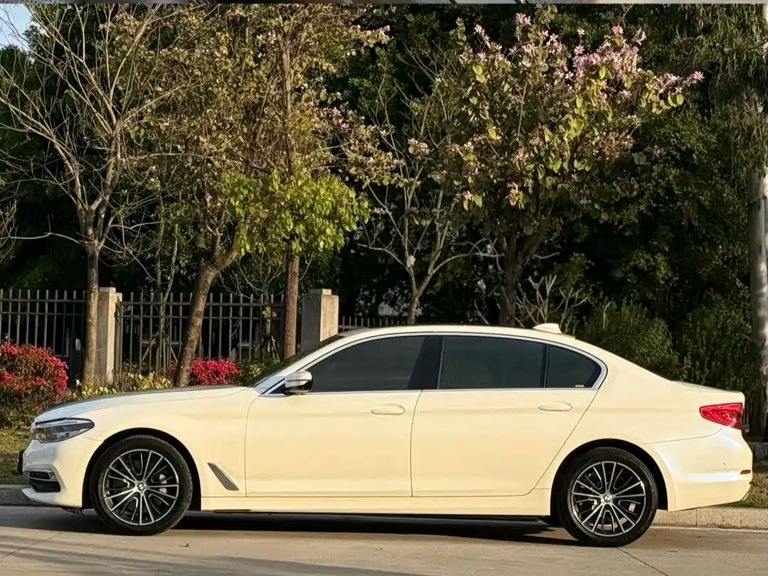 BMW 5 Series 2020 530Li Premium Luxury Package фото 25