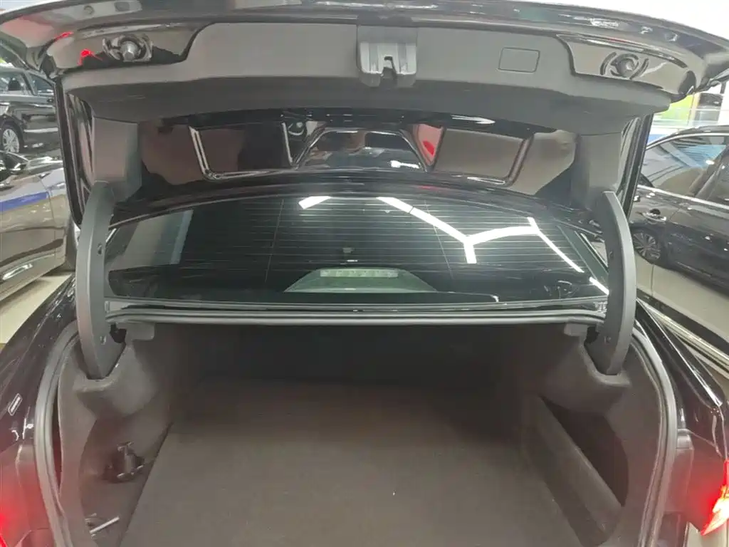 Volkswagen Passat 2019 330TSI Luxury Edition China VI фото 19