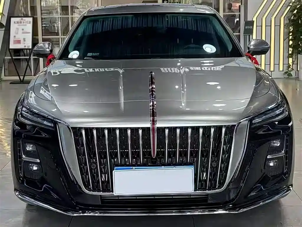 Hongqi H5 2023 2.0T Auto Smart Connect Flag Enjoy фото 2