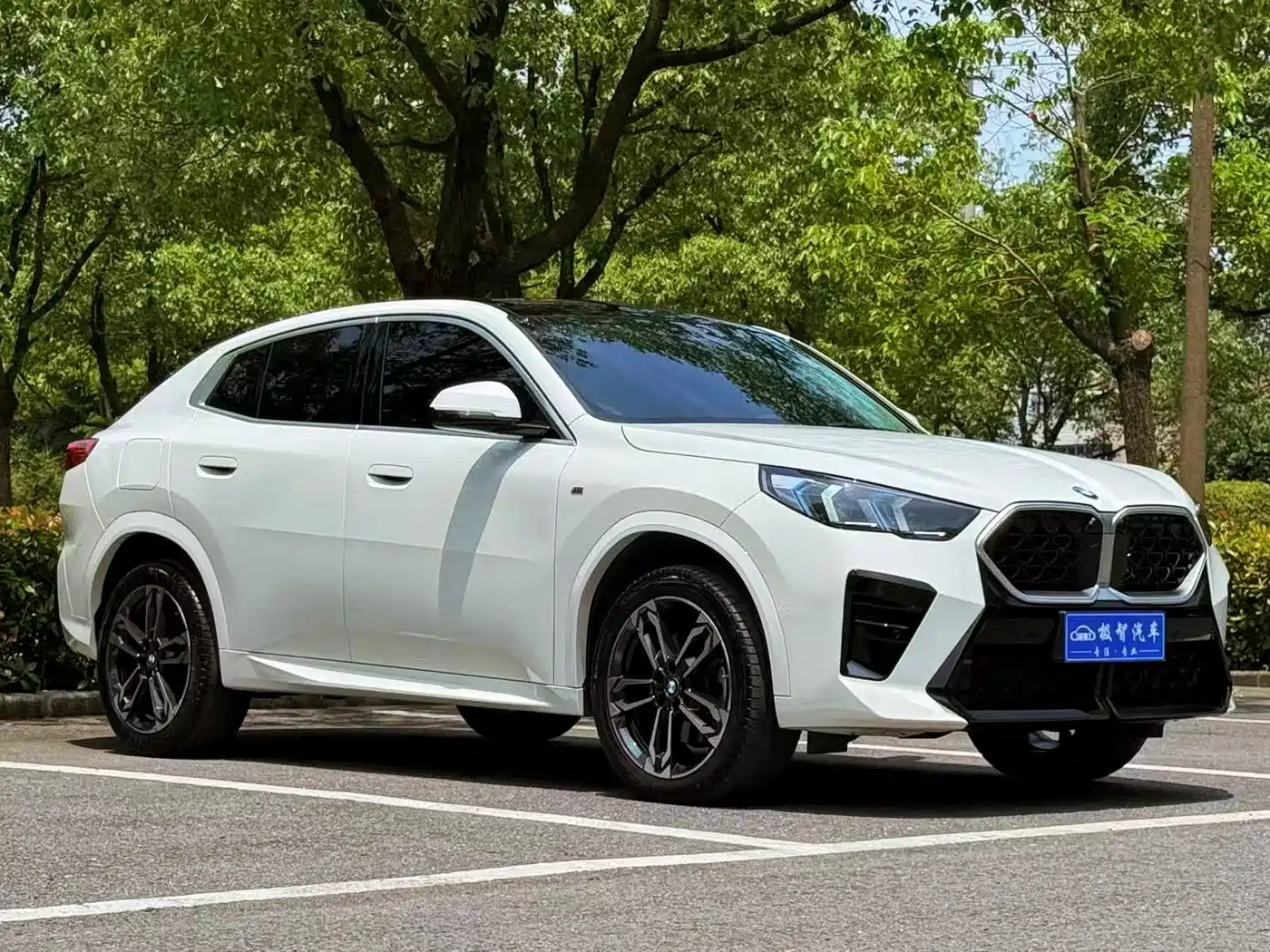 BMW X2 (Import) 2024 2024 sDrive25i M Sport Package