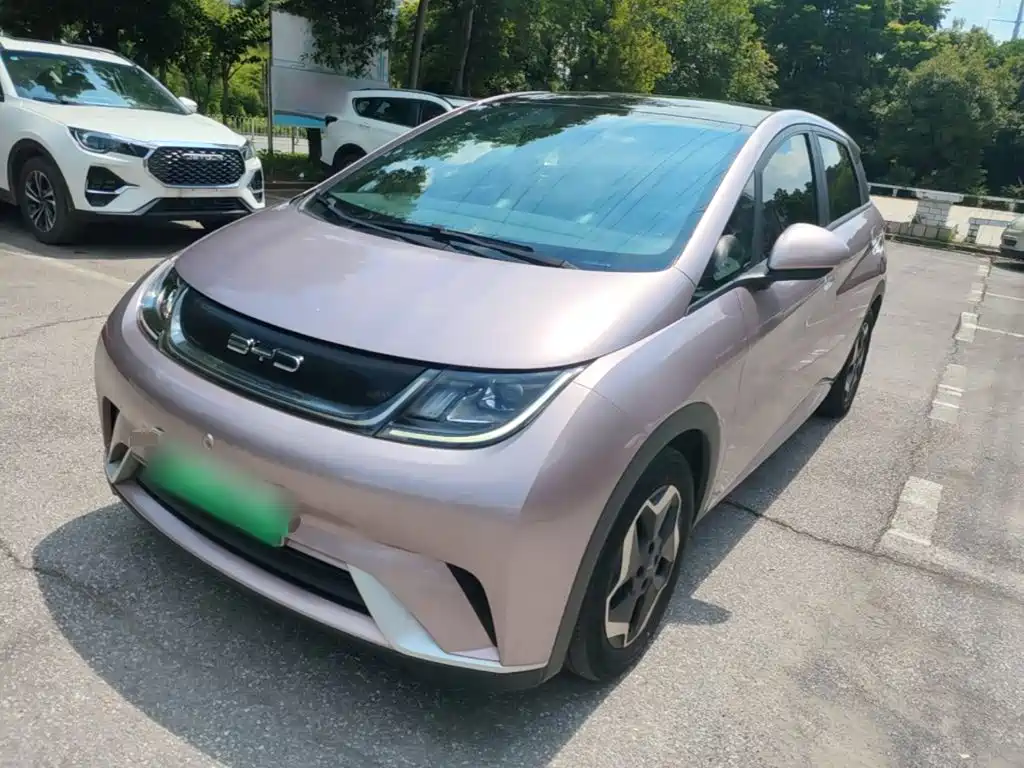 BYD Dolphin 2021 Model 405km Fashion Edition