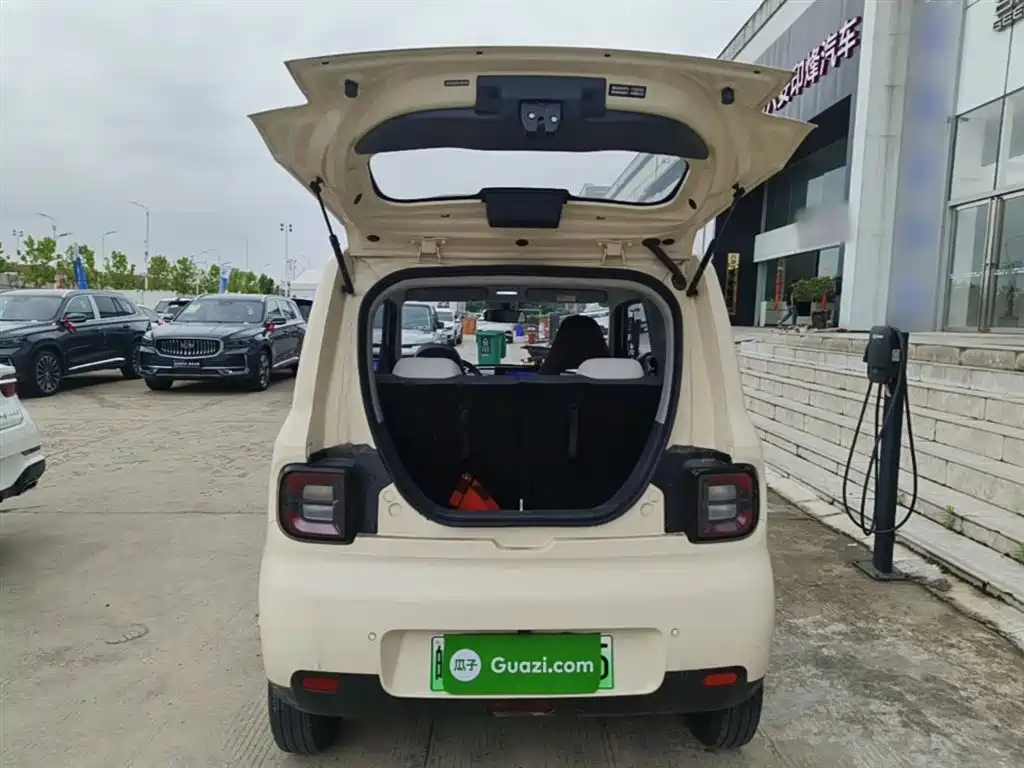 Geely Galaxy Panda 2025 Panda mini 210km Vitality Bear фото 19