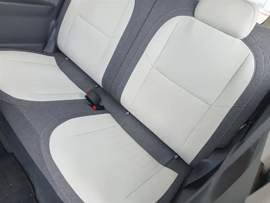 Geely Galaxy Panda 2025 Panda mini 210km Vitality Bear фото 17