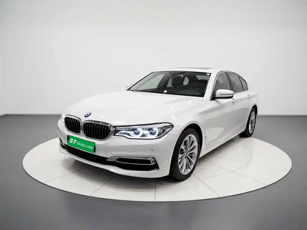 BMW 5 Series 2020 530Li Premium Luxury Package