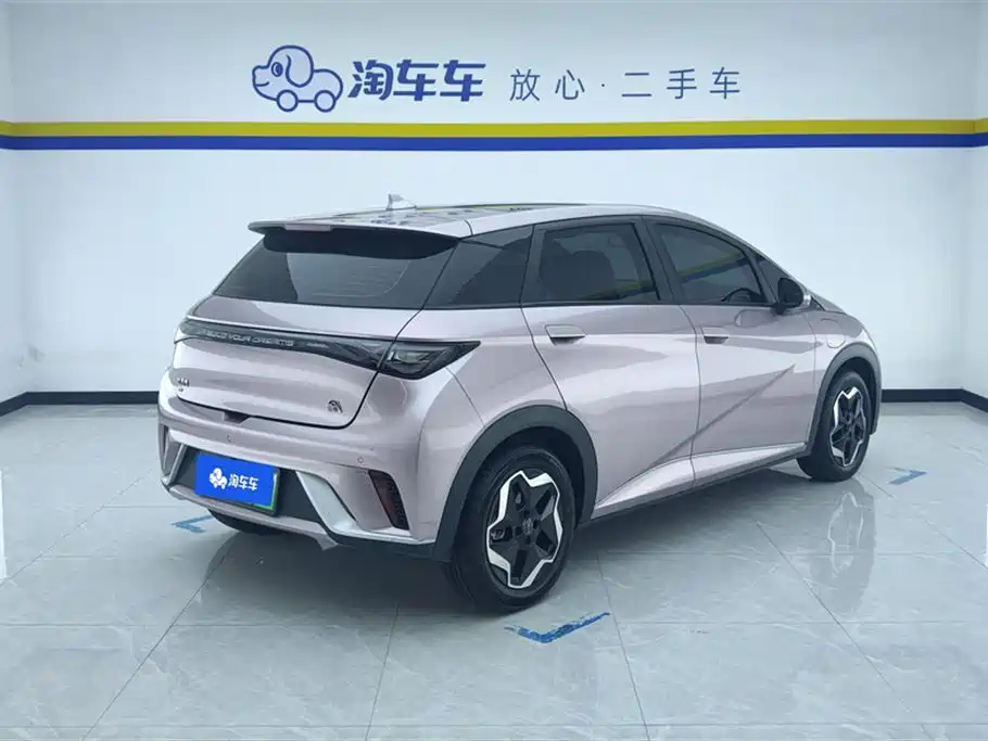 BYD Dolphin 2021 Model 405km Fashion Edition фото 3