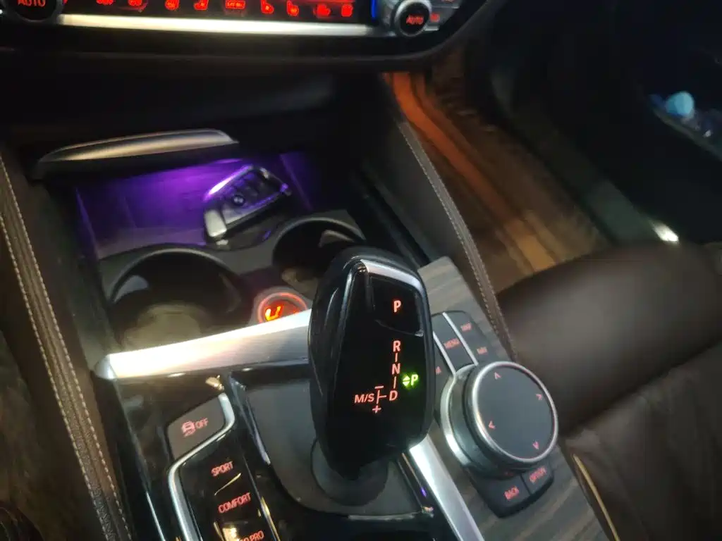 BMW 5 Series 2020 530Li Premium Luxury Package фото 14