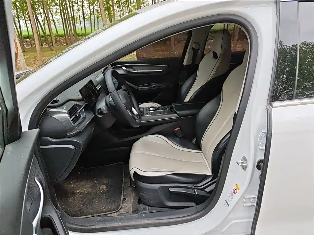 BYD Destroyer 05 2024 Glory Edition DM-i 55KM Luxury фото 11