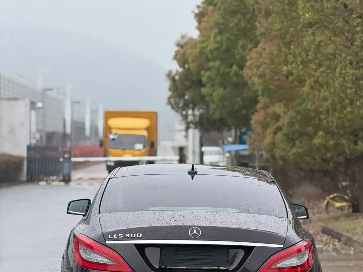 Mercedes-Benz CLS 2012 CLS 300 CGI фото 4