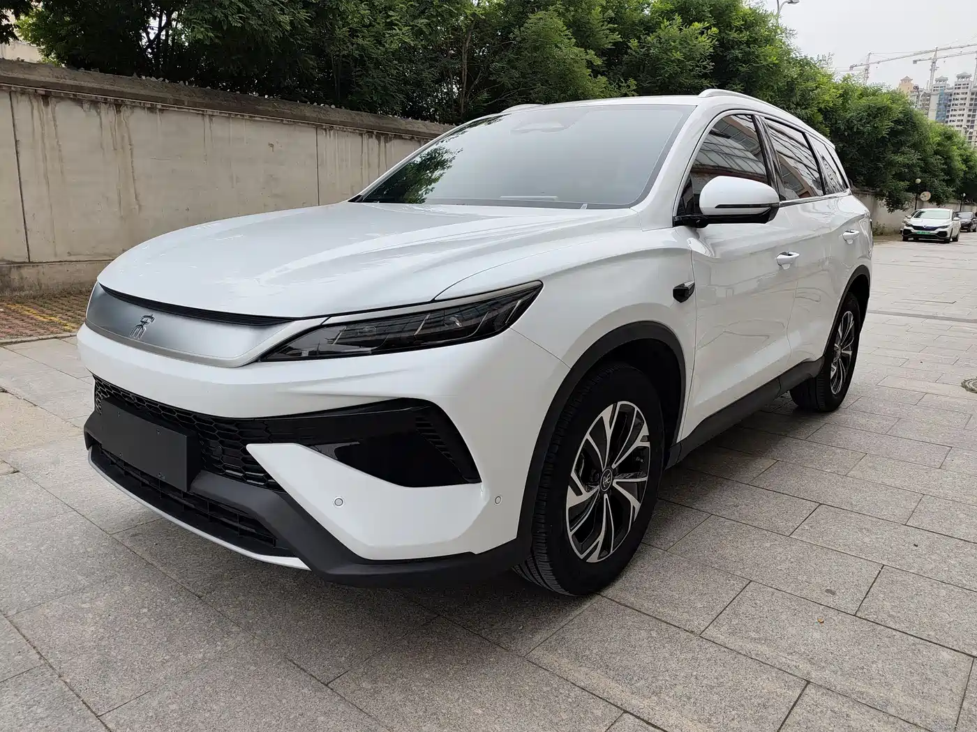 BYD Song Pro New Energy 2025 2nd Generation Smart Drive Edition DM-i 75KM Leading Type