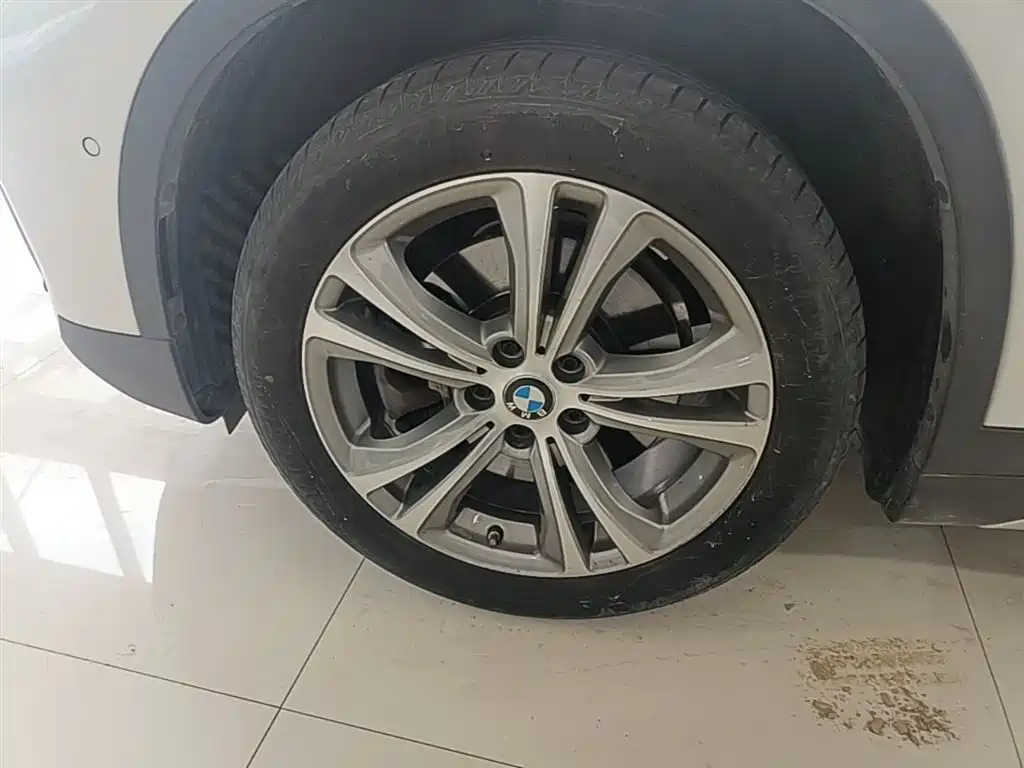 BMW X1 New Energy 2020 xDrive30Le Premium Edition фото 23